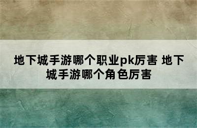 地下城手游哪个职业pk厉害 地下城手游哪个角色厉害